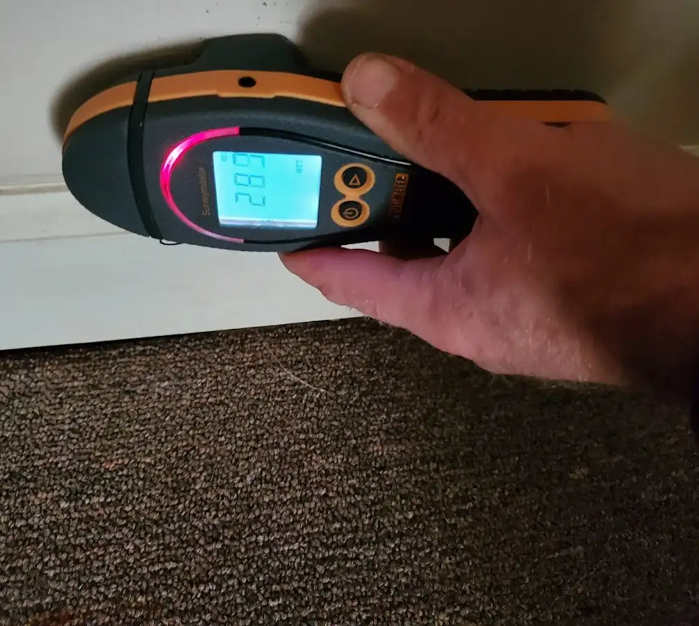 Moisture detection at baseboard during Sewage Cleanup & Sanitation in Paducah